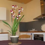 La Vayssade - Maison D'hôtes - Jacuzzi, Piscine&truffes Affittacamere 4*