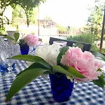 La Vayssade - Maison D'hôtes - Jacuzzi, Piscine&truffes 4*