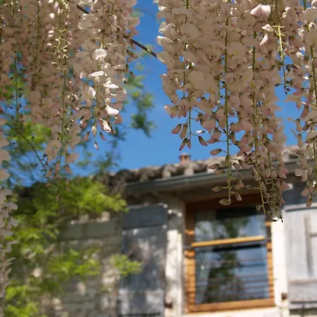 La Vayssade - Maison D'hotes - Jacuzzi, Piscine & Truffes Lalbenque