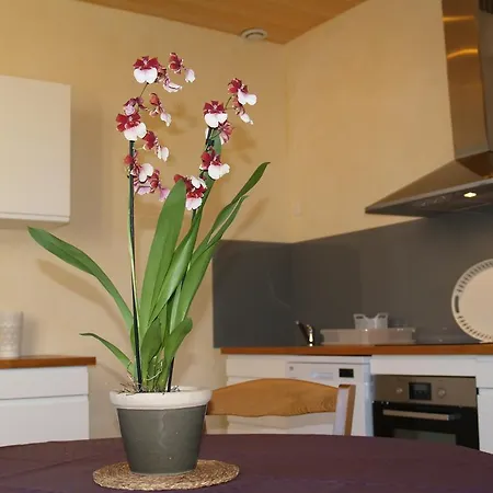 La Vayssade - Maison D'hotes - Jacuzzi, Piscine & Truffes Pensión 4*