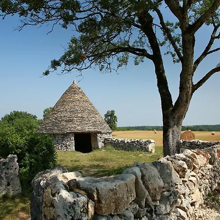 La Vayssade - Maison D'hotes - Jacuzzi, Piscine & Truffes Pensión Lalbenque