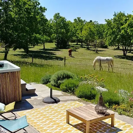 La Vayssade - Maison D'hôtes - Jacuzzi, Piscine&truffes Lalbenque
