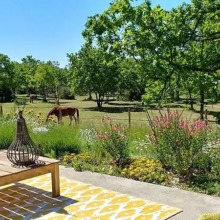 La Vayssade - Maison D'hotes - Jacuzzi, Piscine & Truffes