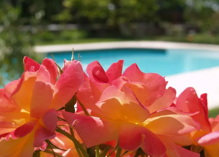 게스트하우스 La Vayssade - Maison D'hotes - Jacuzzi, Piscine & Truffes