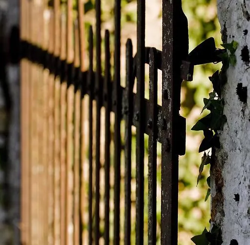 La Vayssade - Maison D'hotes - Jacuzzi, Piscine & Truffes 게스트하우스 Lalbenque