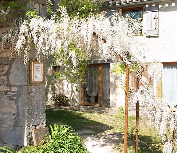 La Vayssade - Maison D'hotes - Jacuzzi, Piscine & Truffes 게스트하우스 Lalbenque