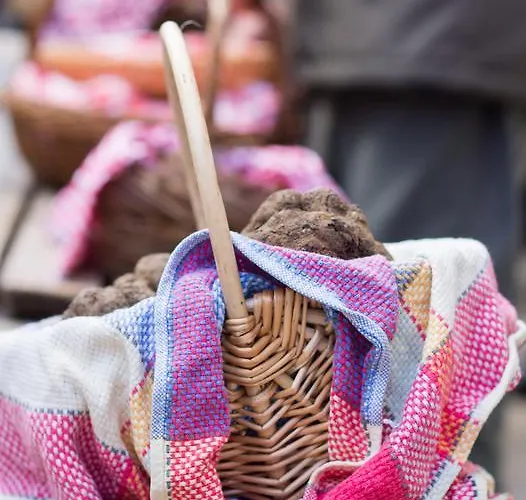La Vayssade - Maison D'hotes - Jacuzzi, Piscine & Truffes 게스트하우스
