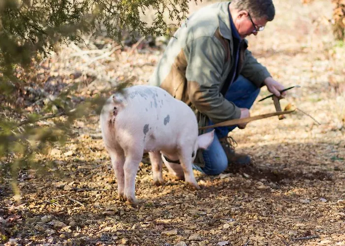 La Vayssade - Maison D'hotes - Jacuzzi, Piscine & Truffes Lalbenque