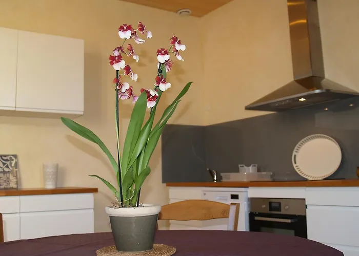 La Vayssade - Maison D'hotes - Jacuzzi, Piscine & Truffes 게스트하우스 4*