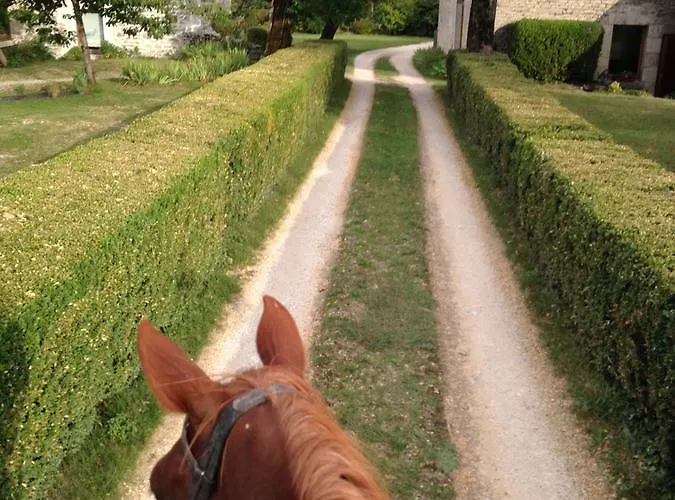 La Vayssade - Maison D'hotes - Jacuzzi, Piscine & Truffes 게스트하우스 Lalbenque