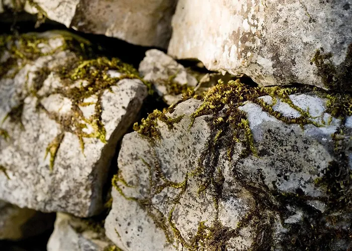 La Vayssade - Maison D'hotes - Jacuzzi, Piscine & Truffes Lalbenque