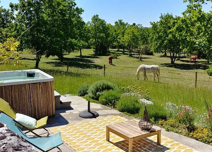 La Vayssade - Maison D'hotes - Jacuzzi, Piscine & Truffes Lalbenque