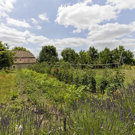La Vayssade - Maison D'hôtes - Jacuzzi, Piscine&truffes Maison d'hôtes