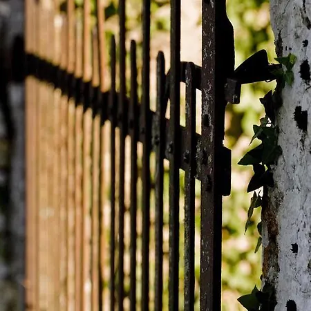 La Vayssade - Maison D'hôtes - Jacuzzi, Piscine&truffes Maison d'hôtes Lalbenque