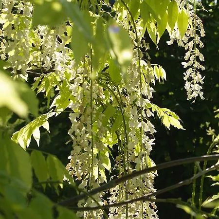 La Vayssade - Maison D'hôtes - Jacuzzi, Piscine&truffes