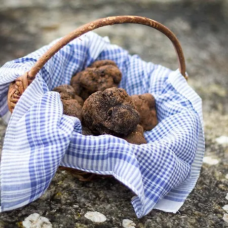 La Vayssade - Maison D'hôtes - Jacuzzi, Piscine&truffes Maison d'hôtes