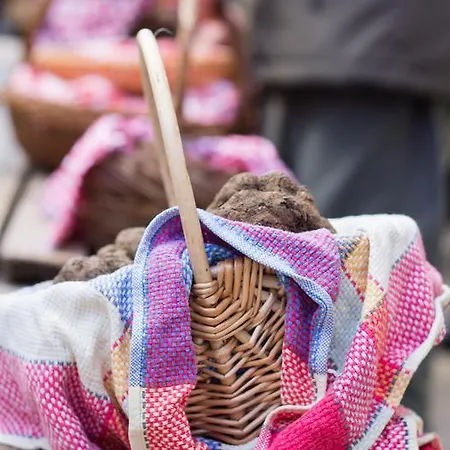La Vayssade - Maison D'hôtes - Jacuzzi, Piscine&truffes Maison d'hôtes
