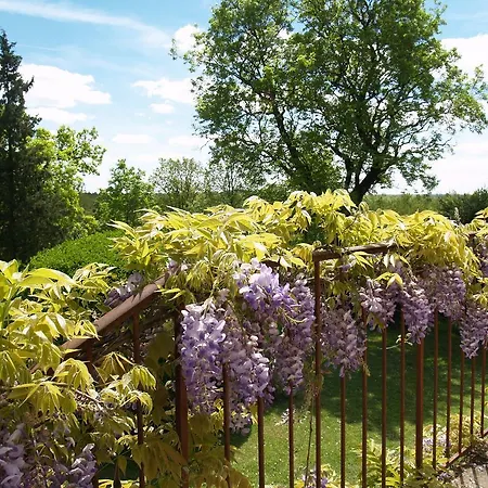 La Vayssade - Maison D'hôtes - Jacuzzi, Piscine&truffes Maison d'hôtes
