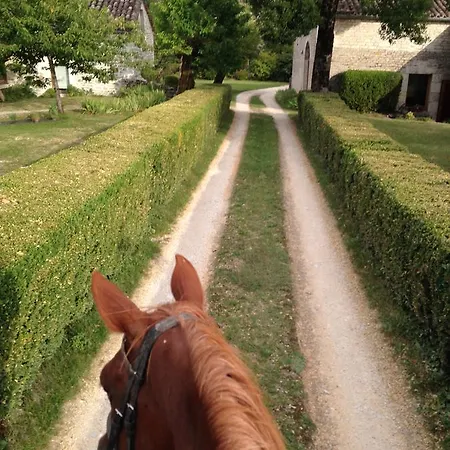 La Vayssade - Maison D'hôtes - Jacuzzi, Piscine&truffes Maison d'hôtes Lalbenque