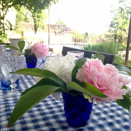 La Vayssade - Maison D'hôtes - Jacuzzi, Piscine&truffes 4*