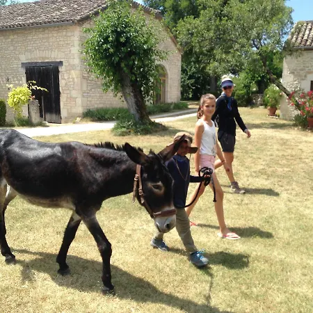 Maison d'hôtes La Vayssade - Maison D'hôtes - Jacuzzi, Piscine&truffes 4*